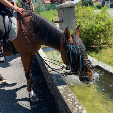 À la fontaine